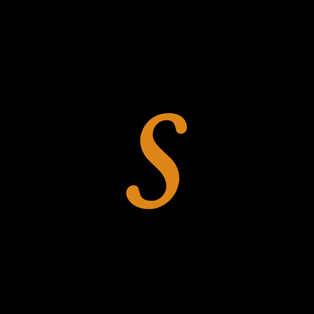 The letter S