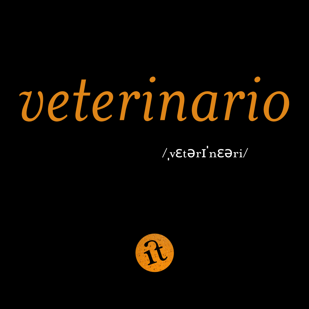 Veterinario (Veterinarian)