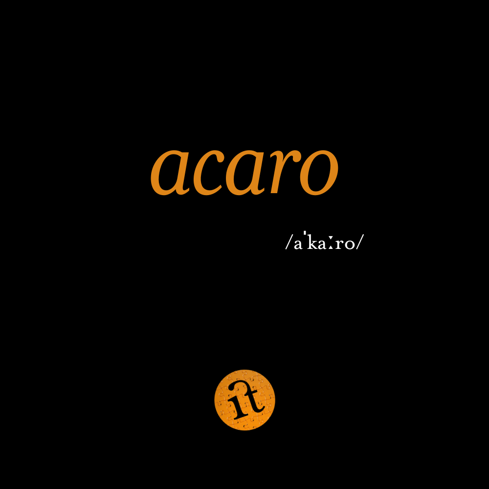Acaro (Mite)